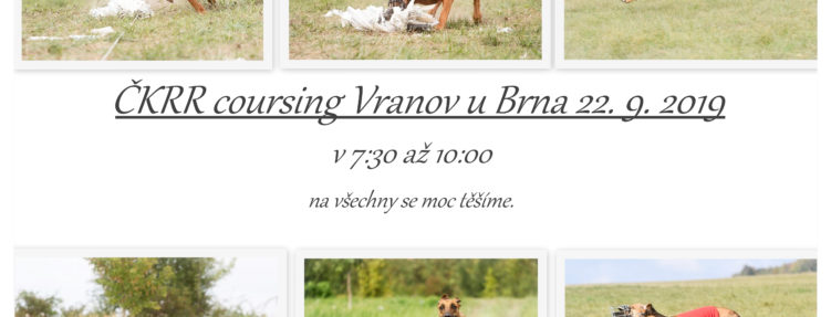 ČKRR coursing Vranov u Brna 22. 9. 2019