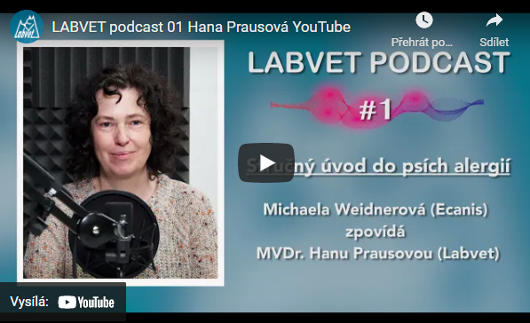 Přednáška – chrup psa