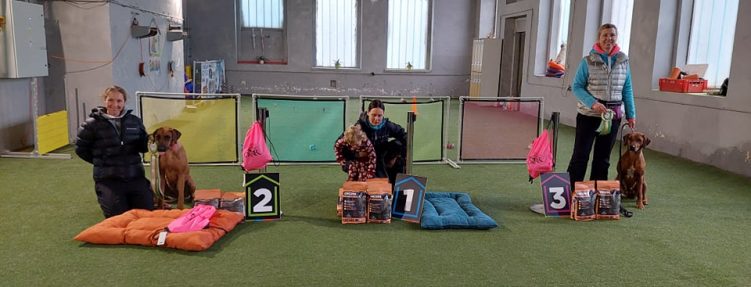 Svatomartinský NW závod