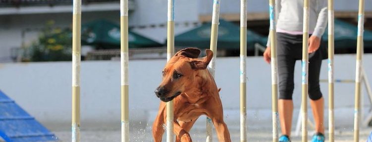 Sportovní den 8.5.2022