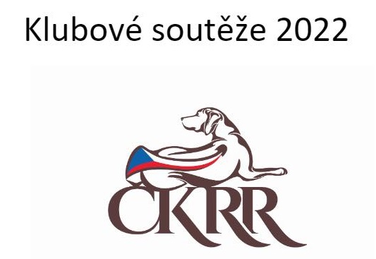 Výsledky klubových soutěží za rok 2022