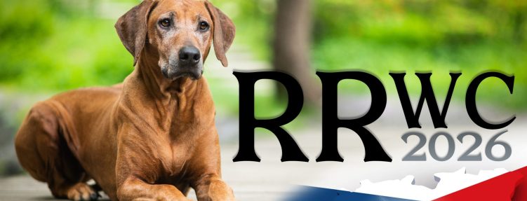 RRWC 2026 a zájem o tlumočníka